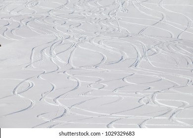 multiple ski tracks in new powder snow