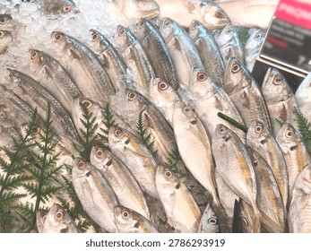 Multiple small to medium-sized fresh whole fish are displayed on a bed of crushed ice. The fish have silvery bodies, some with visible yellow stripes and prominent red eyes. Green decorative foliage is placed among the fish. A partial red and black sign is visible in the upper right corner.