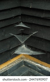 Multiple spiders web in a corner by black walls.
