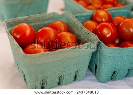 Multiple square green cardboard containers filled with vibrant red cherry tomatoes. The quart containers are for sale at a farmer's market. The fresh tomatoes are raw, glossy, and juicy vegetables.