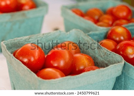 Multiple square green cardboard containers filled with vibrant red cherry tomatoes. The quart containers are for sale at a farmer's market. The fresh tomatoes are raw, glossy and juicy vegetables.