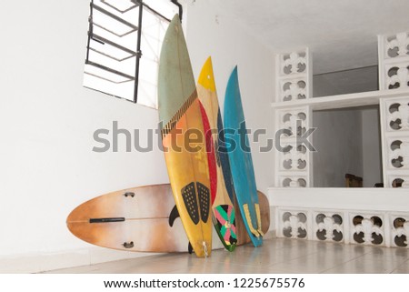 Multiple surfboards staying by the wall inside of the house with the white walls. Tropical lifestyle. Downshifting concept. 