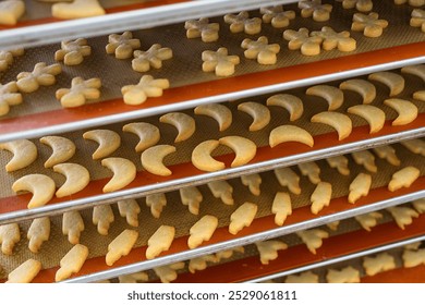 Multiple trays of freshly baked Christmas cookies in various festive shapes, such as moons and stars, are cooling on silicone baking mats in a bakery, ready for packaging or decorating - Powered by Shutterstock