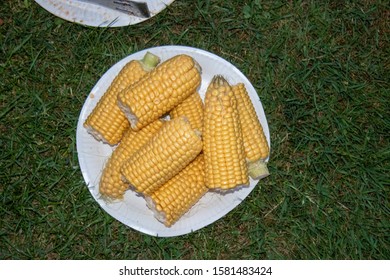 Multiple uncooked corn on plate 
