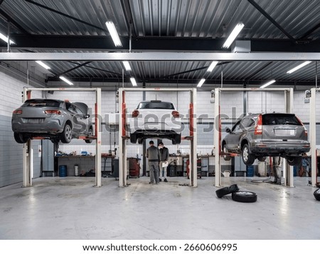 Multiple vehicles elevated on hydraulic lifts in professional automotive repair facility with modern equipment and lighting