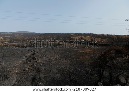 Multiple wildfires broke out across Italy in the summer of 2021. Starting on 24 July, the Montiferru area, in Oristano province, was hit by a wildfire.