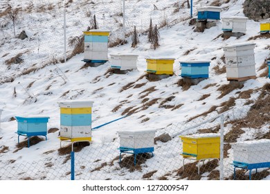 Multiple Yellow And Blue Painted Bee Hive Boxes On A Snowy Hill In The Mountains During A Overcast Cold Winter Day. Insects Inside Stay Together And Generate Heat To Survive The Frozen Season.