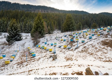 Multiple Yellow And Blue Painted Bee Hive Boxes On A Snowy Hill In The Mountains During A Overcast Cold Winter Day. Insects Inside Stay Together And Generate Heat To Survive The Frozen Season.