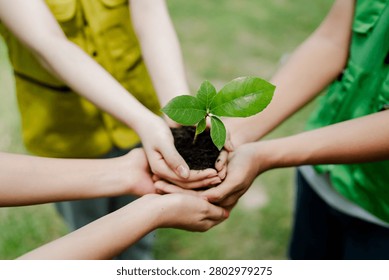 Multiple young hands joining together to support a delicate plant seedling, representing concepts of environmental conservation, nurturing nature, and collective responsibility for sustainability