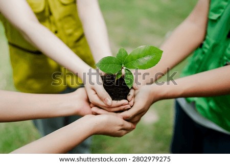 Multiple young hands joining together to support a delicate plant seedling, representing concepts of environmental conservation, nurturing nature, and collective responsibility for sustainability