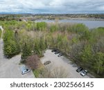 Multiples point of view of forest and river adjunction