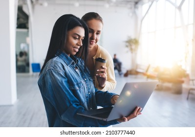 Multiracial businesswomen watching something on laptop during work in office. Concept of modern successful women. Idea of teamwork. Young european and black girls. Caucasian lady with coffee