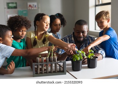 Multiracial elementary school students gesturing on plants at desk in classroom. unaltered, education, childhood, teaching, science, stem and school concept. - Powered by Shutterstock