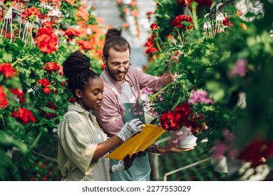 Multiracial gardeners working at plant nursery and taking care of the flowers. Family business. African woman and caucasian man working with plants in a greenhouse and checking list on a clipboard. - Powered by Shutterstock