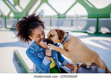 Multiracial Girl Sitting With Her Dog Outside In The Bridge, Training Him, Spending Leisure Time Together. Concept Of Relationship Between Dog And Teenager, Everyday Life With Pet.