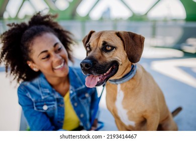 Multiracial Girl Sitting And Resting With Her Dog Outside In The Bridge, Training Him, Spending Leisure Time Together. Concept Of Relationship Between Dog And Teenager, Everyday Life With Pet.