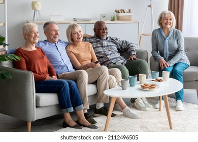 Multiracial Gorup Of Cheerful Senior People Watching Television And Drinking Tea With Cupcakes In The Living Room, Spending Good Time Together At Cozy Nursing Home, Watching Comedy