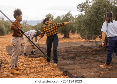 Multiracial and multigenerational farm workers collaborating during olive harvest, using nets and poles, showcasing teamwork and expertise in an agricultural setting - Powered by Shutterstock