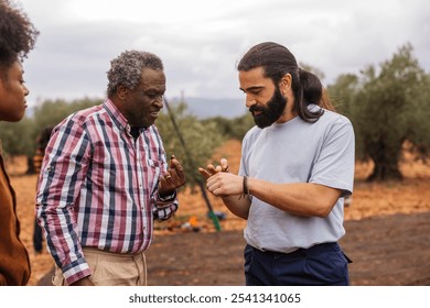 Multiracial and multigenerational farmers examining olives during the harvest in an olive grove, discussing the quality of the product and the progress of the work - Powered by Shutterstock