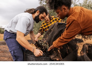 Multiracial and multigenerational farmers working together are pouring olives from a harvesting net into a bucket in an olive orchard during the harvest season - Powered by Shutterstock