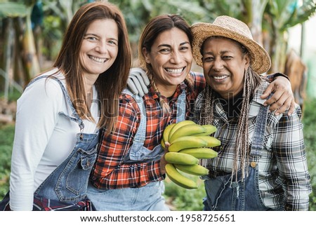 Multiracial senior women working at platanera farm while holding a banana bunch - Main focus on center woman face