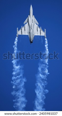 Multirole jet fighter developed by Sweden Air Force air show flying in blue sky