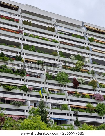 Multi-storey residential building with balconies and flowers in the foreground