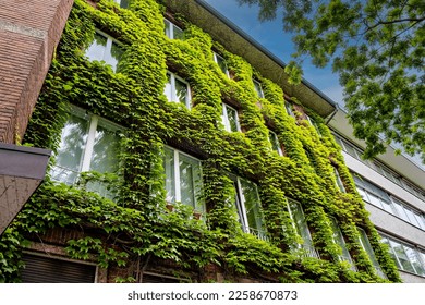 A multi-story house, covered with beautiful greenery, in Germany. - Shutterstock ID 2258670873