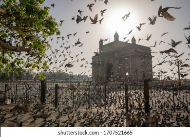 Mumbai City /India- 22/03/2020: Empty Streets Of Mumbai City During Coronavirus Quarantine Lockdown. Janata Curfew.