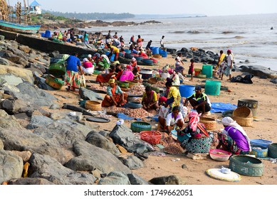  Mumbai, India/ September 10, 2017: South Asian Indian Fisherwomen From The Koli Community Sorting Different Varieties Of Fish For Sale At Uttan Beach. 