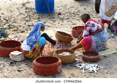  Mumbai, India/ September 10, 2017: South Asian Indian Fisherwomen From The Koli Community Sorting Different Varieties Of Fish For Sale At Uttan Beach. 