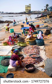 Mumbai, India/ September 10, 2017: South Asian Indian Fisherwomen From The Koli Community Sorting Different Varieties Of Fish For Sale At Uttan Beach. 