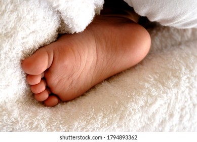 Mumbai; Maharashtra; India; Asia; March. 08; 2008 -  Close Up Indian Little Baby Foot/feet Newborn Child Feet