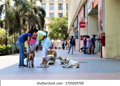 Mumbai/India Apr'19:Dog Lovers Playing With Dogs In Hiranandani Powai,with Eateries & ATM Along The Road.Hiranandani Is An Upmarket Township In Mumbai Suburbs.Real Estate Has Been Hit Due To COVID. 