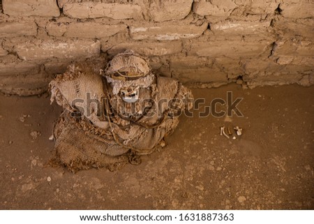 Mummies in the Chauchilla Cemetery in desert near Nazca and Ica in Peru.  Stock photo © 