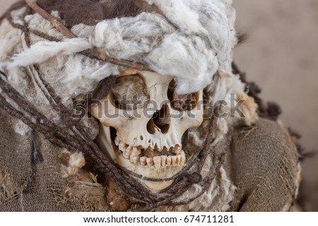 Mummy in Chauchilla Cemetery in Nazca, Ica, Peru Stock photo © 