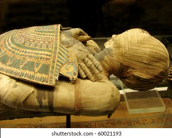     Mummy Of  Pharaoh From A Tomb