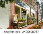 Mums blooming and for sale street side in New Bern North Carolina