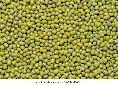 Mung bean seeds for sprouting