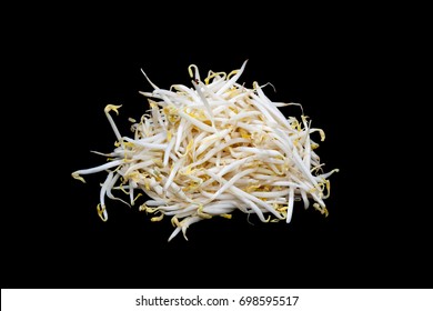 Mung Bean Sprout On Black Background