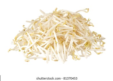 Mung Bean Sprouts