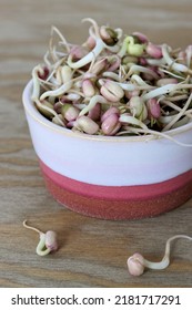 Mung Bean Sprouts In A Bowl. Fresh Green Microgreens Healthy Spring Food.