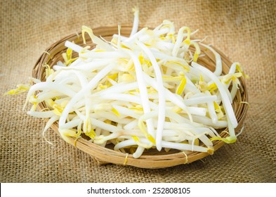 Mung beans or bean sprouts in weave basket.