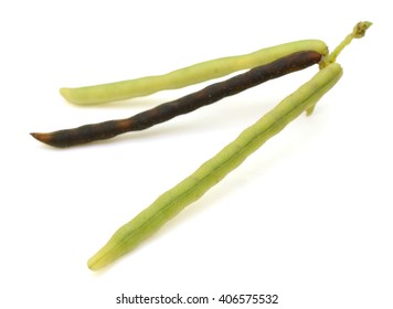 2,223 Mung bean pods Images, Stock Photos & Vectors | Shutterstock