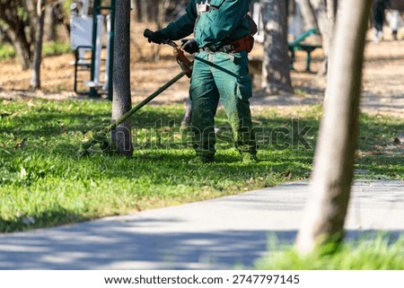 Municipal maintenance worker using grass trimmer to cut grass around trees in public park.