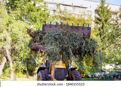 Municipal Utilities Clean Up A Pile Of Tree Branches After A Tree Removal Service In A Residential Neighborhood