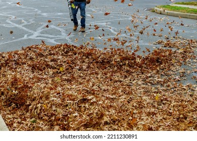 Municipality Worker Cleans Sidewalk By Using Leaf Blower On Pile Blowing Leaves Them Away An Autumn