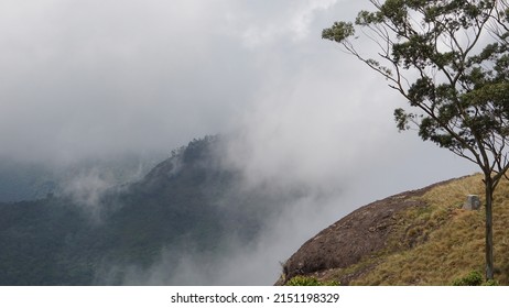 Munnar In Fog And Mist