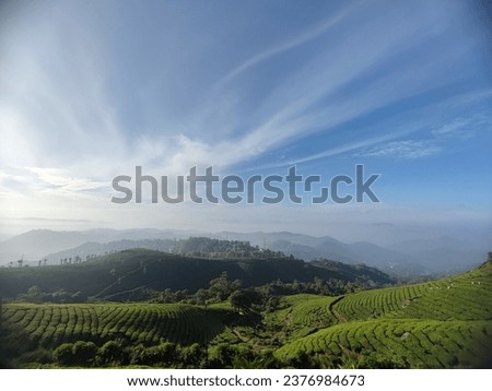 Munnar Hillstation..kannan devan hills..tea plantation