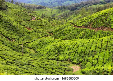 257 Top station view munnar kerala Images, Stock Photos & Vectors ...